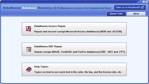 DataNumen Database Recovery最新破解版：一款安全好用的数据表数据恢复软件，操作界面简单直观