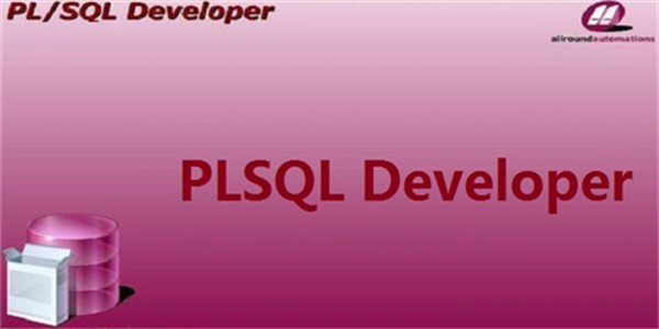 PLSQL Developer绿色中文版：一款功能丰富的数据库管理工具，提供强大的调试工具