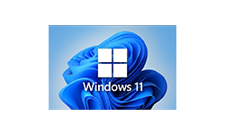 Windows11专业版：一款现在被广泛使用的操作系统，不含病毒