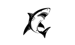 鲨鱼TV弹幕版：一款免费的tv版电视软件，无收费功能